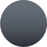 TRUE GRAY