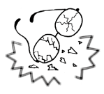 衝撃にご注意ください