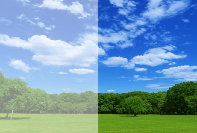 Vol.14 For People Who Struggle with Glare after Cataract Surgery “Absorption Lens” ~Outdoors~