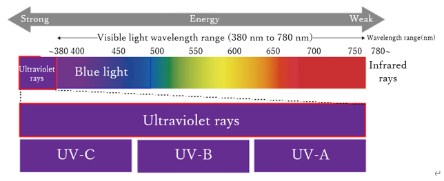 Vol.18 UV protection that you can do in your everyday life