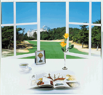 An illustrative image of what it looks like with lenses for both near and far distances