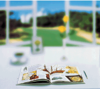 An illustrative image of what it looks like with single-vision lenses for reading