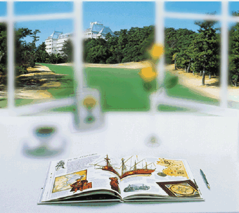 An illustrative image of what it looks like with bifocal lenses